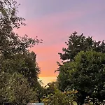 Soloqui
