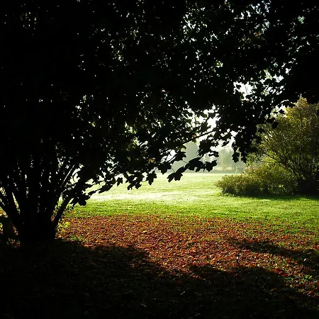 Soloqui Bed & Breakfast Zero Branco